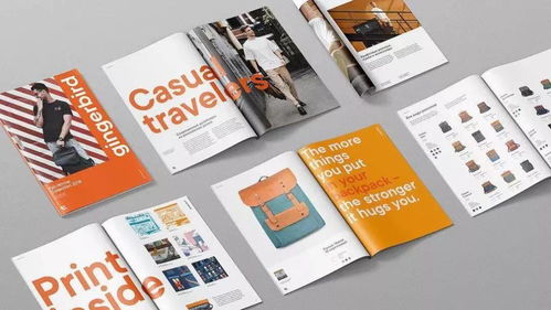 微鲸创服 企业形象背后的无形力量，揭秘VI设计与进出口代理的协同价值