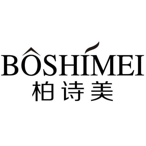 计算机系统集成服务,网络技术开发,技术咨询,技术服务,企业形象策划